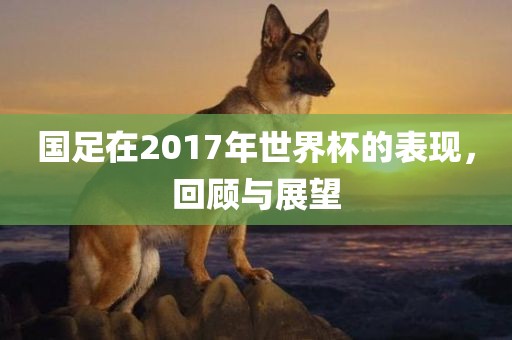 国足在2017年世界杯的表现，回顾与展望