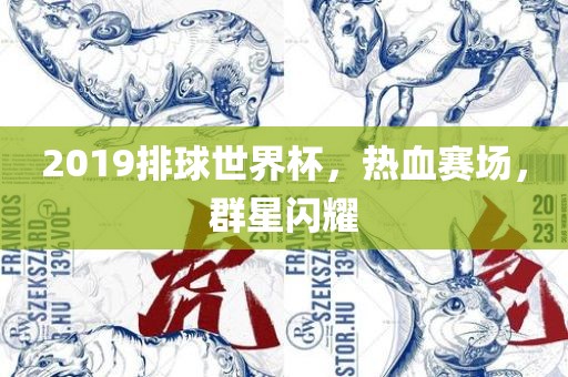 2019排球世界杯，热血赛场，群星闪耀