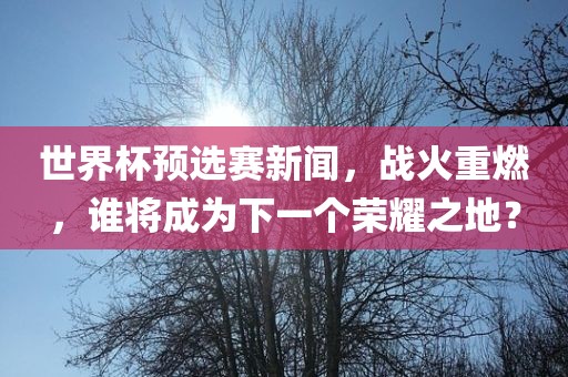 世界杯预选赛新闻，战火重燃，谁将成为下一个荣耀之地？眉山市正发家政服务有限公司