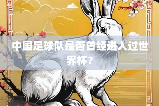 中国足球队是否曾经进入过世界杯？