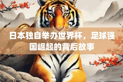 日本独自举办世界杯，足球强国崛起的背后故事眉山市正发家政服务有限公司