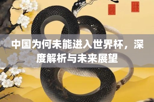 中国为何未能进入世界杯，深度解析与未来展望