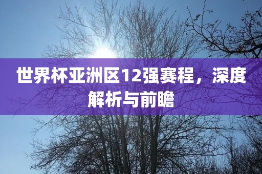 世界杯亚洲区12强赛程，深度解析与前瞻眉山市正发家政服务有限公司