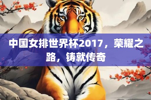 中国女排世界杯2017，荣耀之路，铸就传奇