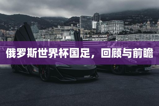 俄罗斯世界杯国足，回顾与前瞻眉山市正发家政服务有限公司