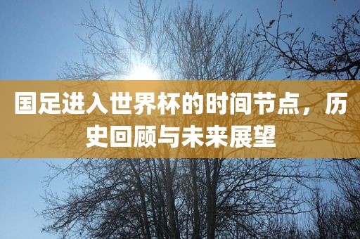 国足进入世界杯的时间节点，历史回顾与未来展望