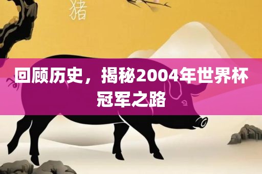 回顾历史，揭秘2004年世界杯冠军之路
