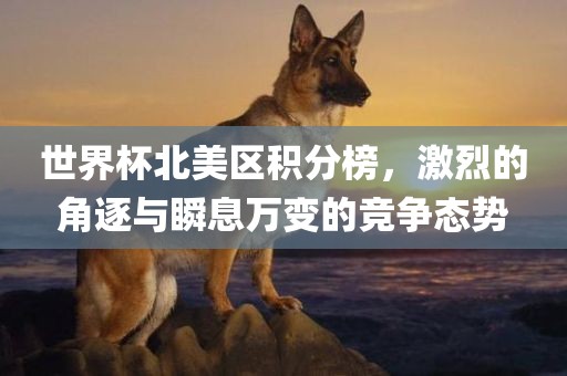 世界杯北美区积分榜，激烈的角逐与瞬息万变的竞争态势眉山市正发家政服务有限公司