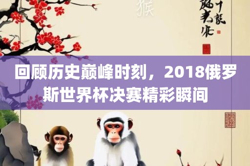 回顾历史巅峰时刻，2018俄罗斯世界杯决赛精彩瞬间