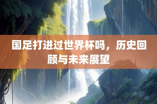 国足打进过世界杯吗，历史回顾与未来展望眉山市正发家政服务有限公司
