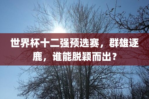 世界杯十二强预选赛，群雄逐鹿，谁能脱颖而出？