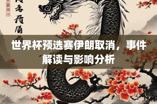 世界杯预选赛伊朗取消，事件解读与影响分析