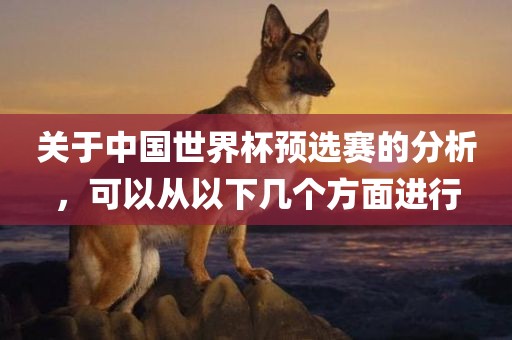 关于中国世界杯预眉山市正发家政服务有限公司选赛的分析，可以从以下几个方面进行