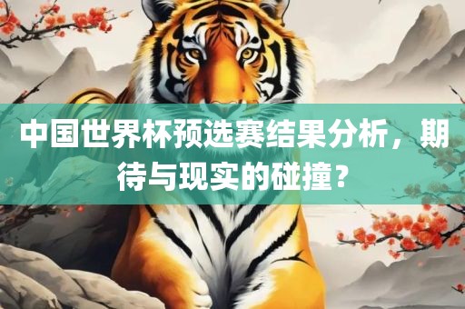 中国世界杯预选赛结果分析，期待与现实的碰撞？
