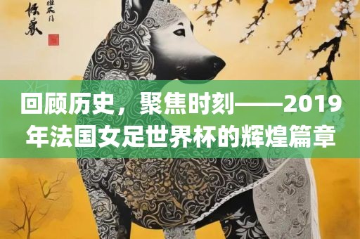 回顾历史，聚焦时刻——2019年法国女足世界杯的辉煌篇章眉山市正发家政服务有限公司
