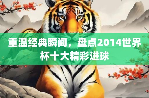重温经典瞬间，盘点2014世界杯十大精彩进球眉山市正发家政服务有限公司