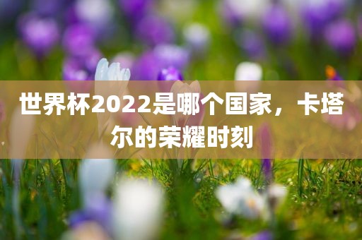 世界杯2022是哪个国家，卡塔尔的荣耀时刻