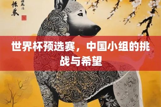世界杯预选赛，中国小组的挑战与希望眉山市正发家政服务有限公司