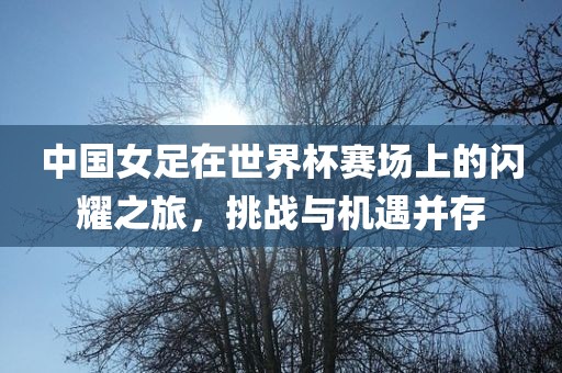 中国女足在世界杯赛场上的闪耀之旅，挑战与机遇并存