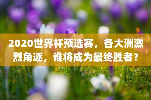 2020世界杯预选赛，各大洲激烈角逐，谁将成为最终胜者？
