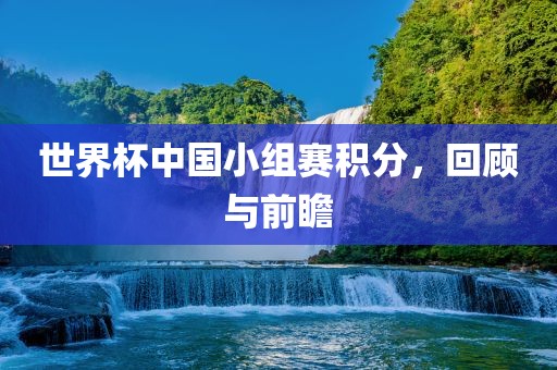 世界杯中国小组赛积分，回顾与前瞻