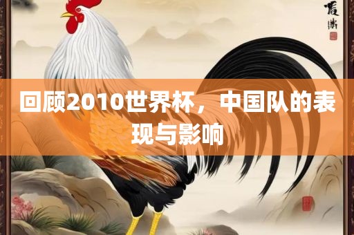 回顾2010世界杯，中国队的表现与影响