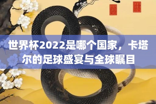 世界杯2022是哪个国家，卡塔尔的足球盛宴与全球瞩目