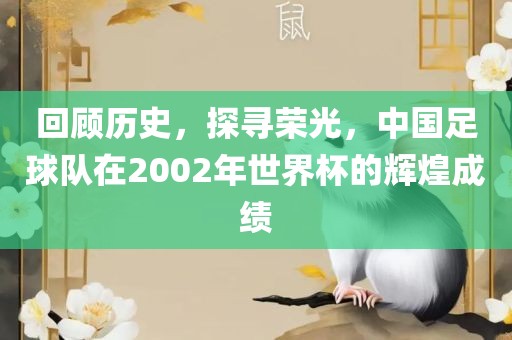 回顾历史，探寻荣光，中国足球队在2002年世界杯的辉煌成绩