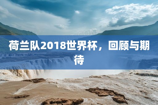 荷兰队2018世界杯，回顾与期待