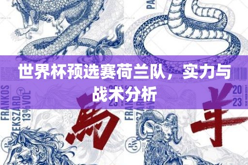世界杯预选赛荷兰队，实力与战术分析