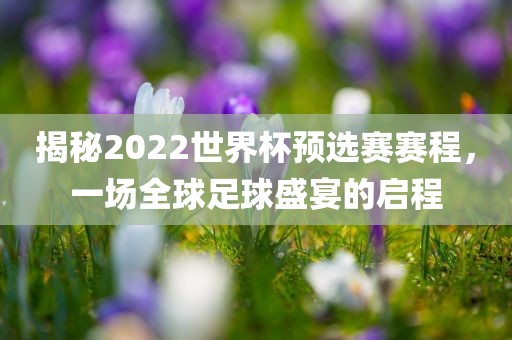 揭秘2022世界杯预选赛赛程，一场全球足球盛宴的启程