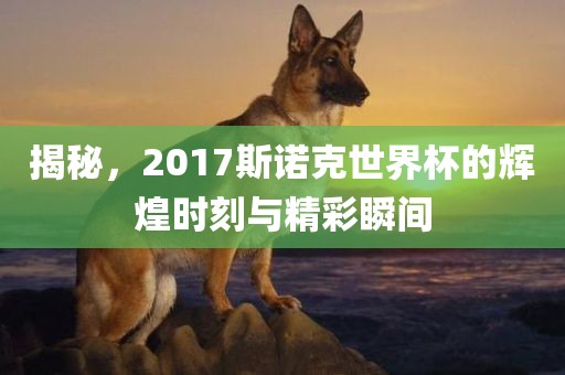 揭秘，2017斯诺克世界杯的辉煌时刻与精彩瞬间
