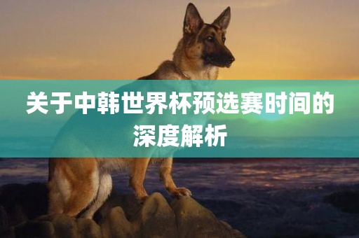 关于中韩世界杯预选赛时间的深度解析眉山市正发家政服务有限公司