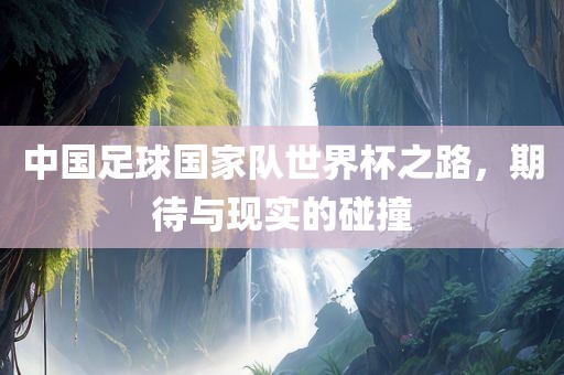 中国足球国家队世界杯之路，期待与现实的碰撞