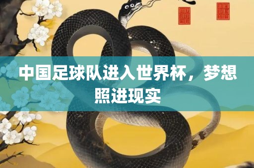 中国足球队进入世界杯，梦想照进现实