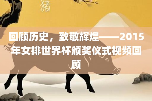 回顾历史，致敬辉煌——2015年女排世界杯颁奖仪式视频回顾眉山市正发家政服务有限公司