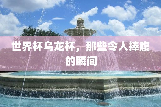 世界杯乌龙杯，那些令人捧腹的瞬间眉山市正发家政服务有限公司