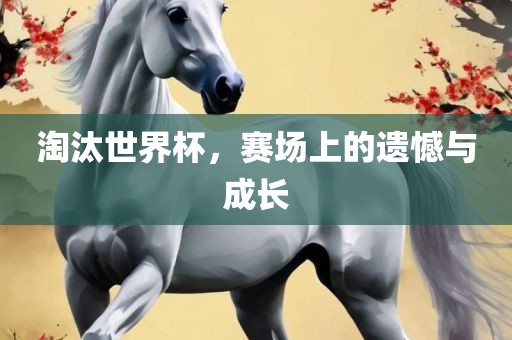 淘汰世界杯，赛场上的遗憾与成长