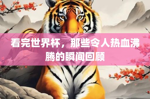 看完世界杯，那些令人热血沸腾的瞬间回顾