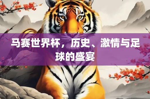 马赛世界杯，历史、激情与足球的盛宴眉山市正发家政服务有限公司