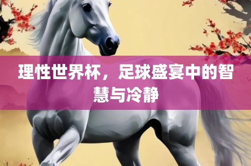 理性世界杯，足球盛宴中的智慧与冷静