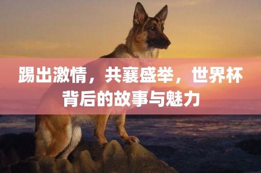 踢出激情，共襄盛举，世界杯背后的故事与魅力
