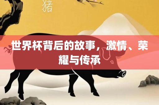 世界杯背后的故事，激情、荣耀与传承