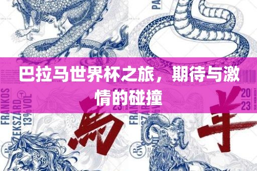 巴拉马世界杯之旅，期待与激情的碰撞