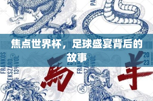 焦点世界杯，足球盛宴背后的故事