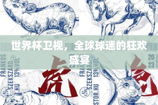 世界杯卫视，全球球迷的狂欢盛宴