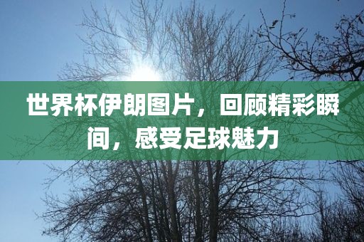 世界杯伊朗图片，回顾精彩瞬间，感受足球魅力