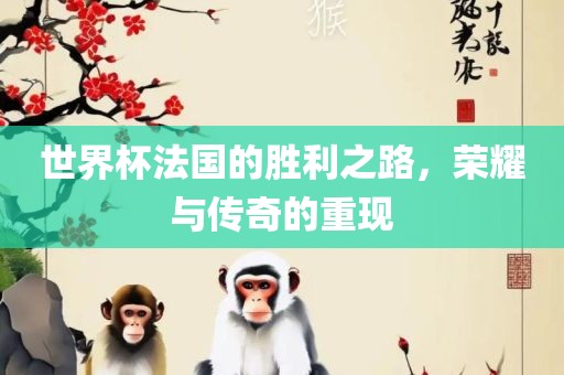 世界杯法国的胜利之路，荣耀与传奇的重现