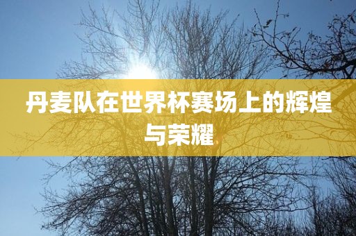 丹麦队在世界眉山市正发家政服务有限公司杯赛场上的辉煌与荣耀