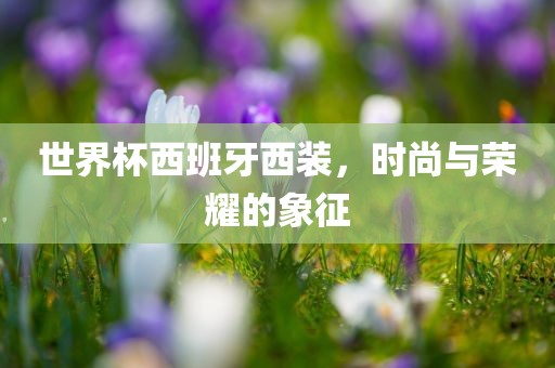 世界杯西班牙西装，时尚与荣耀的象征
